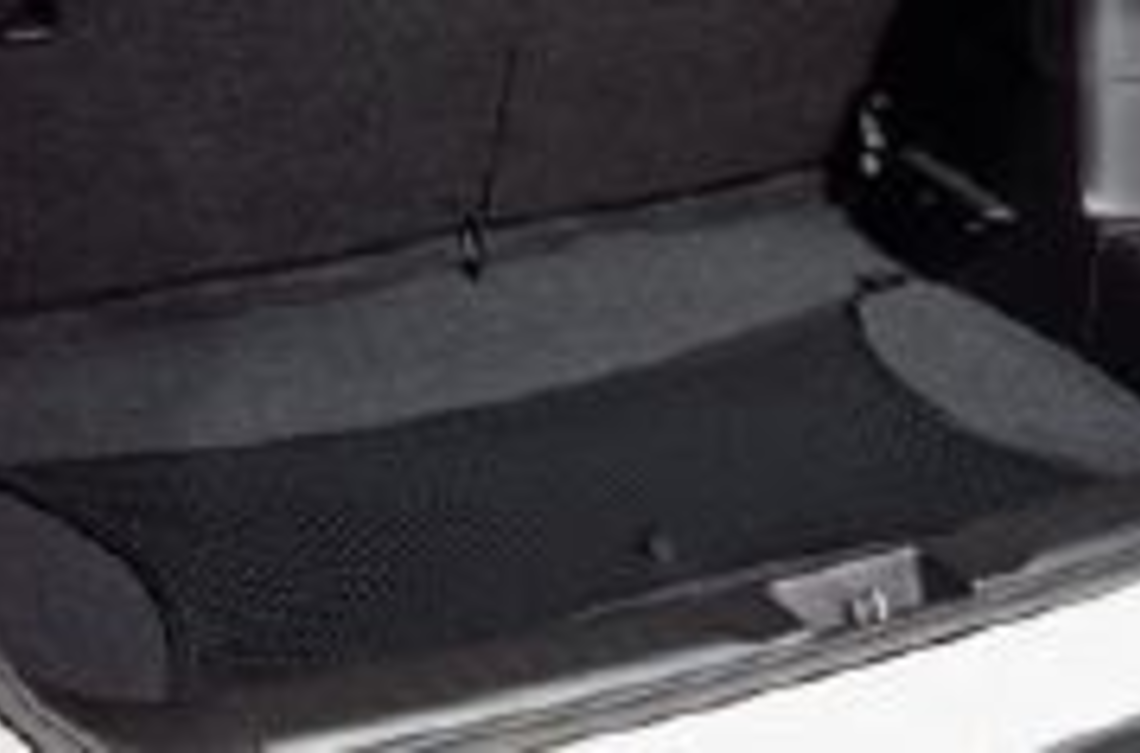 Сітка багажного відділення горизонтальна (21384)